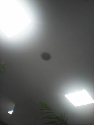 birdtest20151's profile picture. 