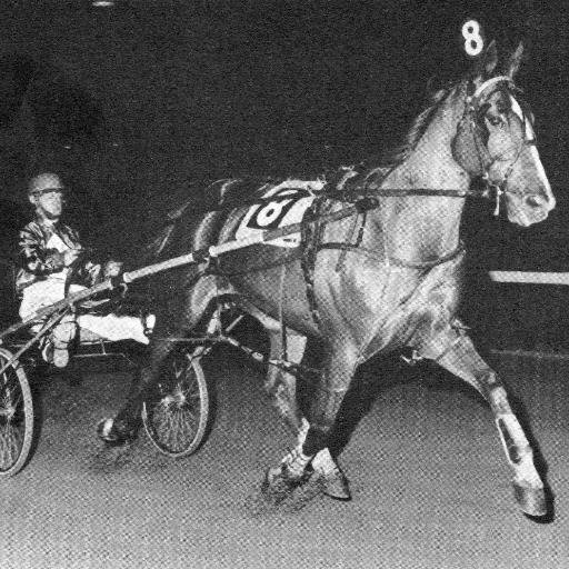 heldupbadly's profile picture. Harness Racing/Music/Reading/Old Movies are my passions. Never stop learning about the things you love