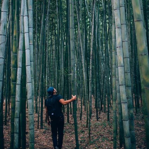 jonfocus's profile picture. https://t.co/VzvZhKsLS2