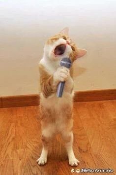 FM_Marti's profile picture. 