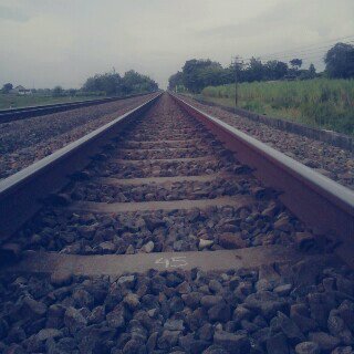 Trimu_l02's profile picture. 