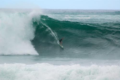 Surfing the market waves...