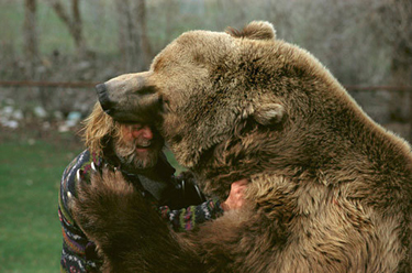 tommyhodges's profile picture. lofi + bees = buzzband