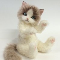 pisces*b (@piscesbcat) 's Twitter Profile