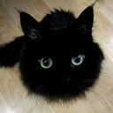 Elliot Pierce - @SophieLuvr - Twitter