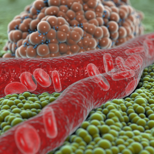 highbeamstudios's profile picture. Craig Vrankovich | 3D Medical Animation & VR