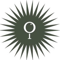 Orange tree group (@allorangetree) 's Twitter Profile Photo