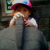 panutwestprog's profile picture. 