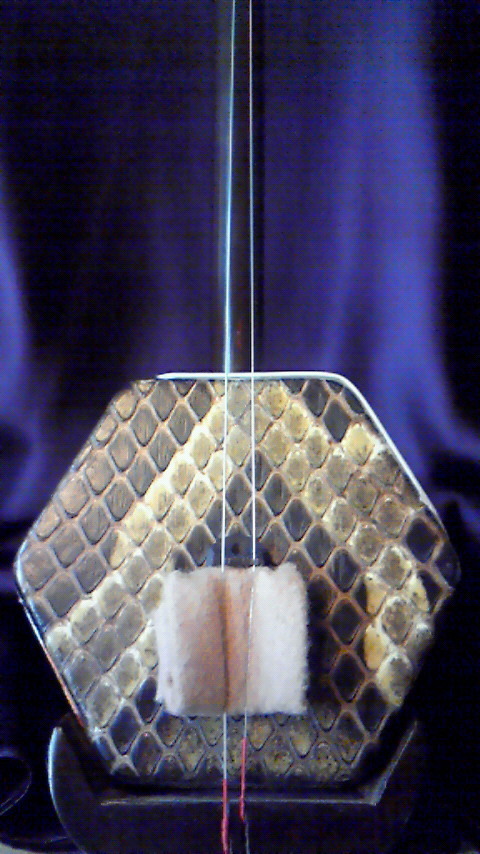 chiyozou's profile picture. 