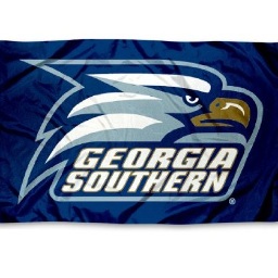 moreGSUprobs's profile picture. It doesn't matter what your school thinks of us because we're still better than you. Football, gnats and tractors in the road, That's Georgia Southern for you.