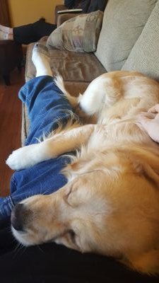 NeptuneSeaDrago's profile picture. Diesel Mechanic by day, idiot all day