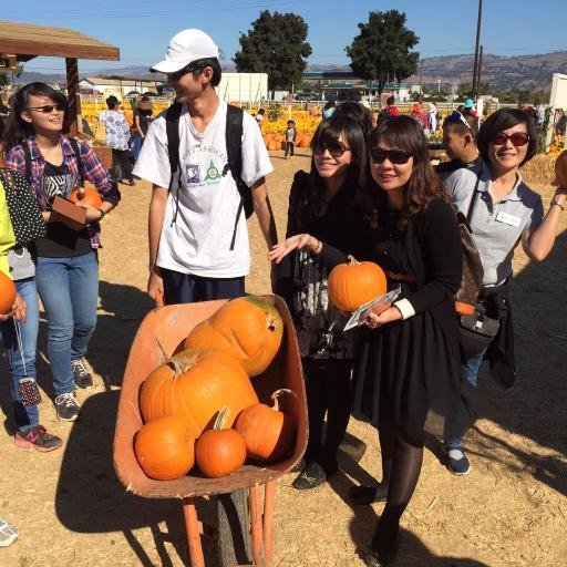 IanLi1202's profile picture. Hello, I'm Ian, an ordinary senior in NTU.