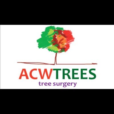 acwtree's profile picture. 