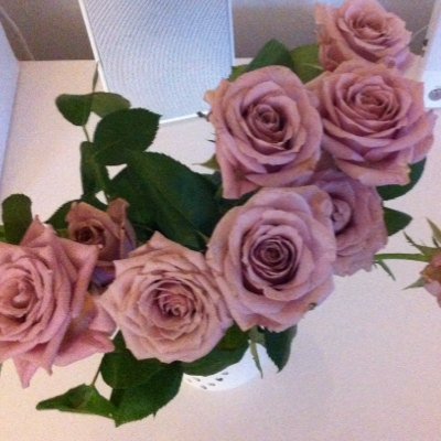 snozzlebox's profile picture. 