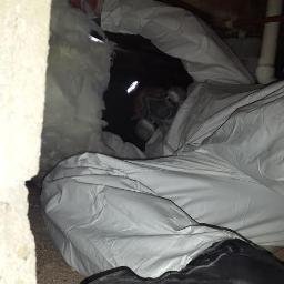 atticrawl1's profile picture. Atticrawl company serving the New Jersey area! Cleaning what rodents leave behind. Best Rodent Exclusion Company!