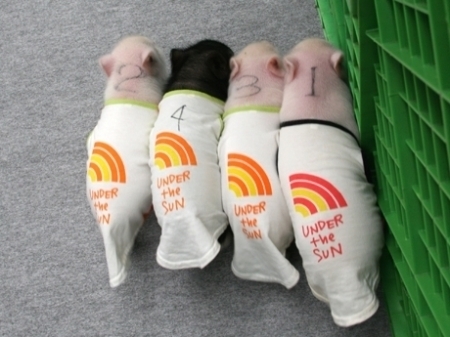 h1zume's profile picture. 兼業主婦で男女双子の母親業もしております。腐海の住民。