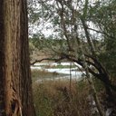 Seth Ivey - @thesethivey - Twitter