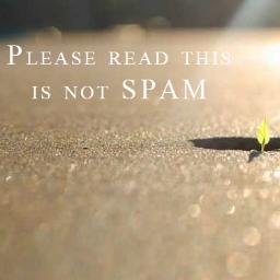 thespamoftheday's profile picture. 