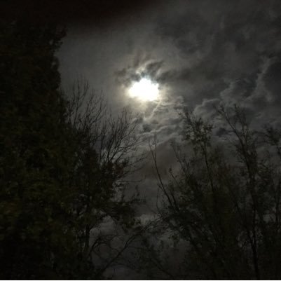 JonChrestman's profile picture. 