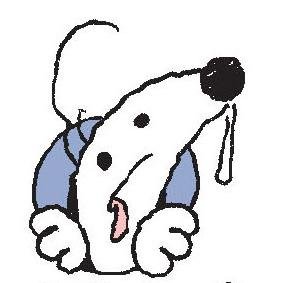 Bildiğin Köpekさんのプロフィール画像