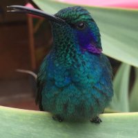 Teresa (@tess1959) 's Twitter Profile Photo Teresa (@tess1959) 's Twitter Profile Photo