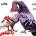 ولد صنعاء جاد (@asyr224466) Twitter profile photo ولد صنعاء جاد (@asyr224466) Twitter profile photo