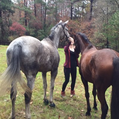 MADhatterIshere's profile picture. girl on fire and jack sparrow