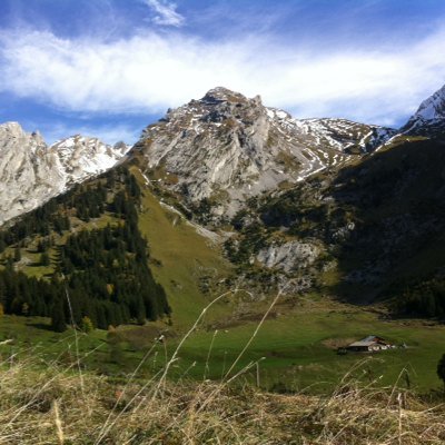 morlevat's profile picture. 