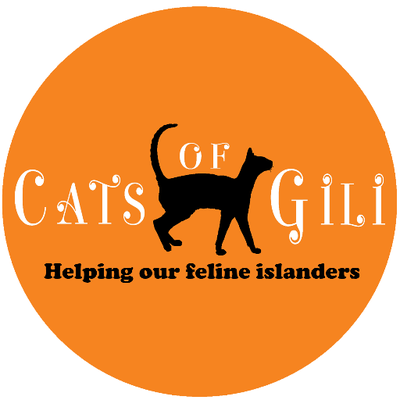 Donate  Cats Of Gili