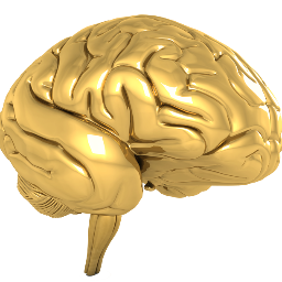 optimabrain's profile picture. #NootropicStack Noopept,  Alpha GPC, Phenylpiracetam, Bacopa, CDP-Choline, Caffeine, L-Theanine and Adrafinil.