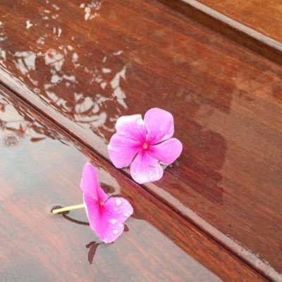 F6ooma_1's profile picture. يا رَب أوزعني أن أشكر نعمتك التي أنعمت عليّ وعلى والدَيّ ()