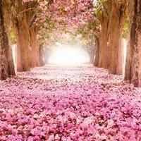 ياهملالي 🐾 (@40fff) Twitter profile photo