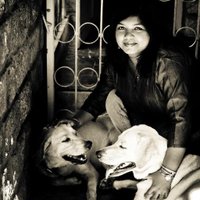 snigdha (@snigdha) 's Twitter Profile