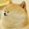 Depado_'s profile picture. Go developer and new technology enthusiast. 
Tweets & opinions are my own.

https://t.co/mzzU3p0mHw on bsky