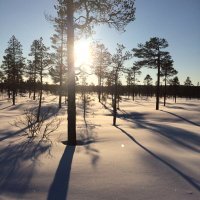 viktor munkhammar (@vmunkhammar) 's Twitter Profile