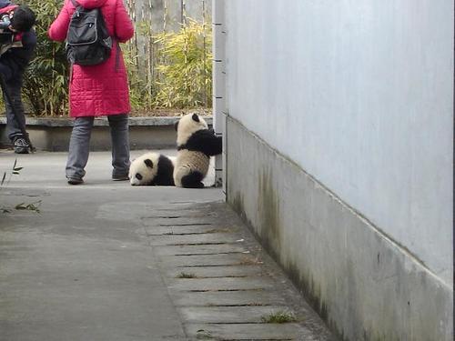 北條 光彦 - HOJO MITSUHIKO