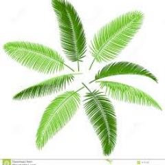 Apalma2015's profile picture. viajar compulsivamente me apasiona, conocer nuevos horizontes, pero sin olvidar de donde vengo, mi querida Venezuela