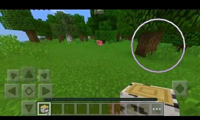 messe_vieira's profile picture. 