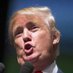 Trump Smells (@trumpsmells) Twitter profile photo Trump Smells (@trumpsmells) Twitter profile photo