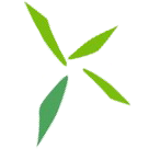 dhammada_net's profile picture. คือความเรียบง่าย
คือธรรมะ
คือธรรมดา