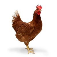 WMRC (@warwickmrc) 's Twitter Profile