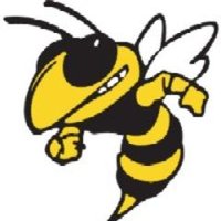 Mrs. Taylor (@hornetsbuzzing) 's Twitter Profile