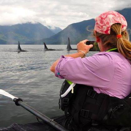 Wilderness tour outfitter offering guided hikes along Canada's West Coast Trail and 3,4 & 6-day guided Orca Camp kayaking trips. Delivering adventure since 1976