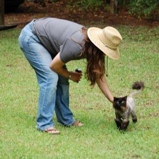 Rural southern leftist, terrible homebrewer, pretty good cook, adequate chicken and cat raiser.