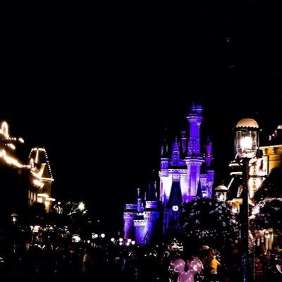 Like all you lovely folk I've got a dream✨ Disneyland Paris✨ WDW✨