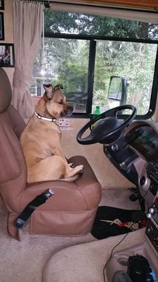 RVReligion's profile picture. Get up, get moving, go motoring!