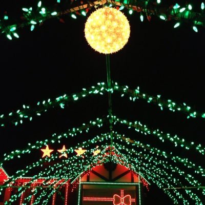 Christmas Seasonal Light and Sound Spectacular | All Donations to the Milton District Hospital | 876 Willow Ave, Milton