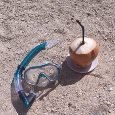 CityChic81's profile picture. 