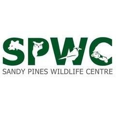 We are a busy wildlife centre in Napanee, ON that is a charitable organization caring for injured and orphaned Ontario wildlife and release back into the wild.