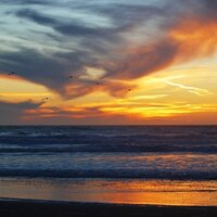 Child Abuse Survivor (@ca_survivor) 's Twitter Profile